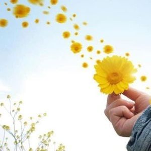 Meet your Posher, Luann